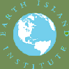 Earth island Icon